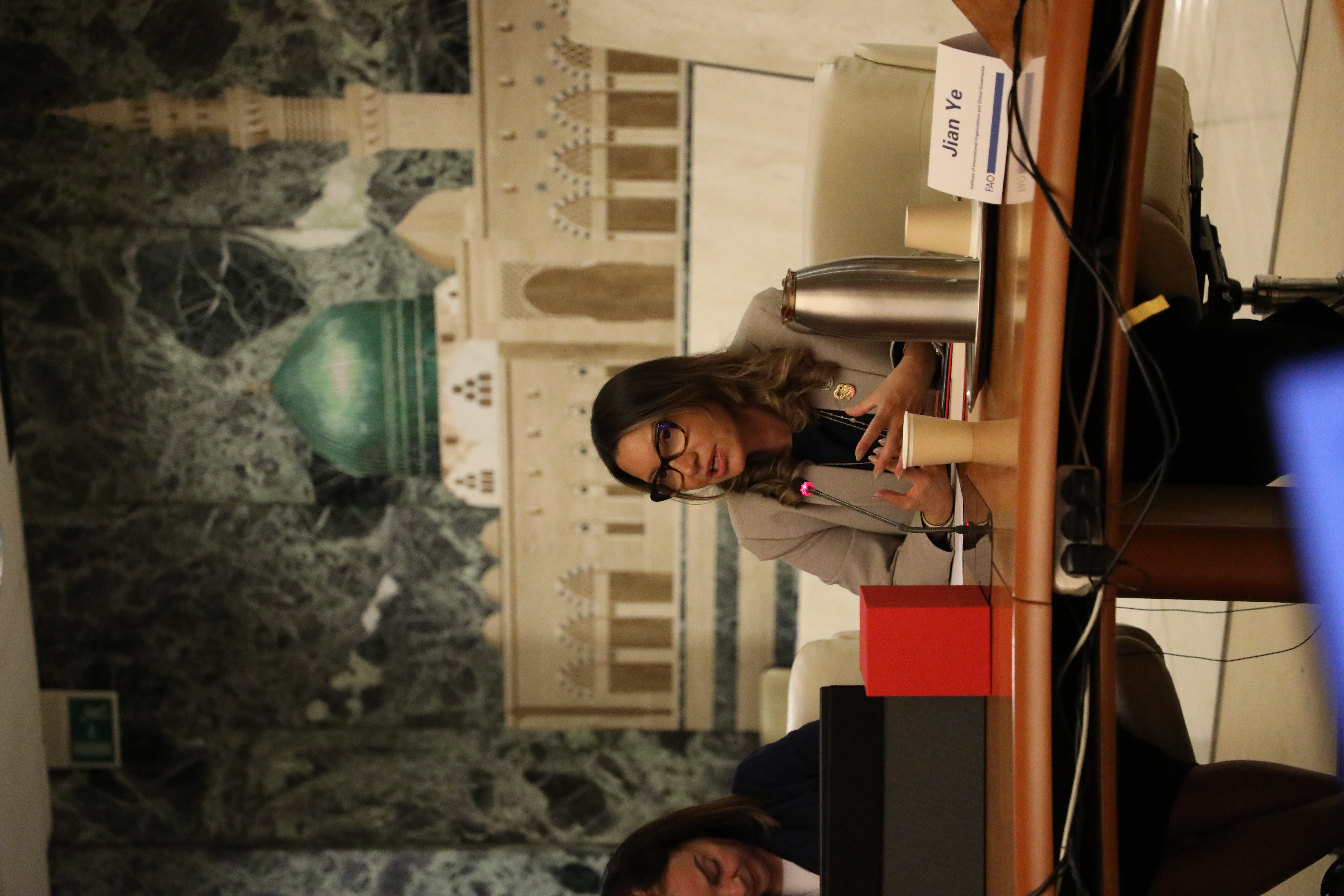 2. 巴西第一夫人发言.JPG